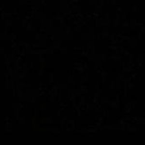 Meet your Posher, Margie